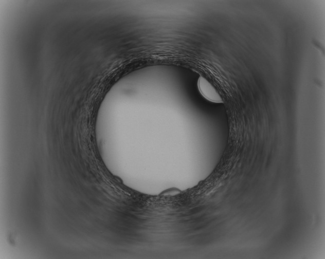 X0000092010817200709061307