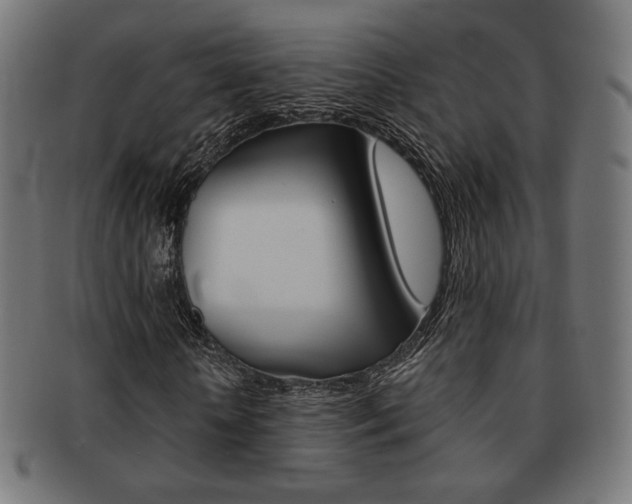 X0000092010818200709061307