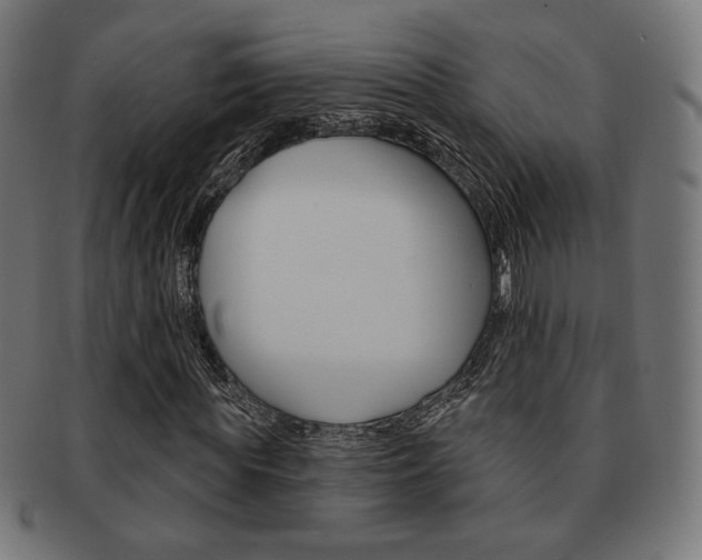 X0000092010819200709061307