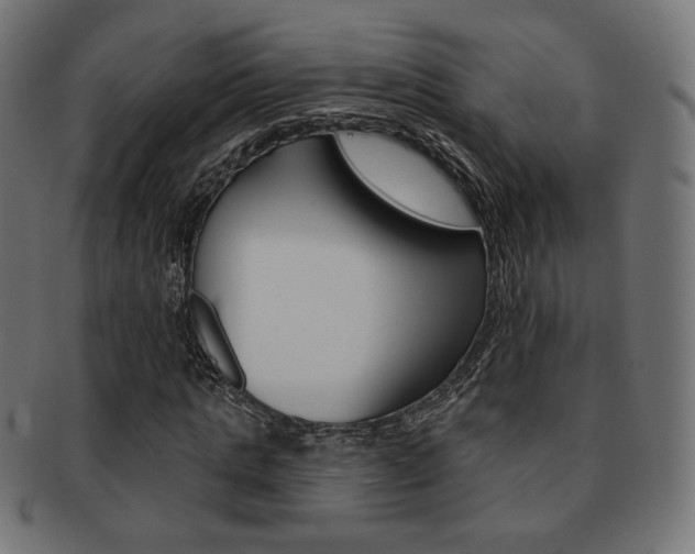 X0000092010821200709061307