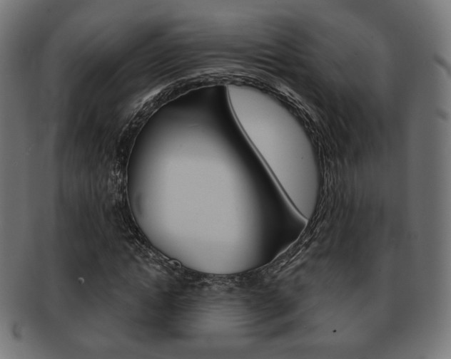 X0000092010822200709061307