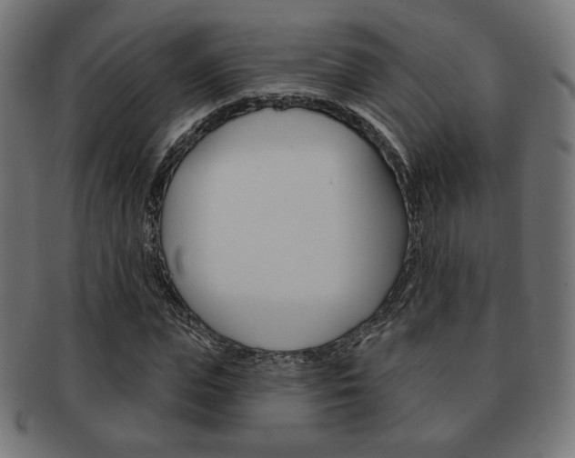 X0000092010823200709061307