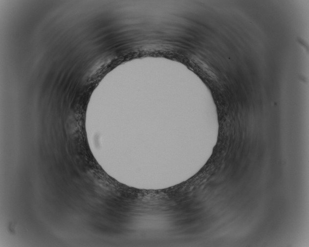 X0000092010824200709061307