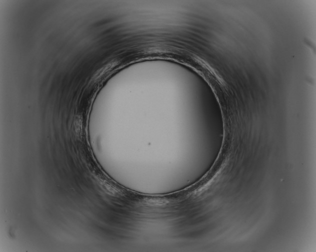 X0000092010825200709061307