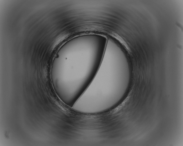 X0000092010826200709061307