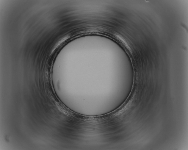 X0000092010827200709061307
