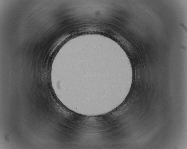 X0000092010828200709061307