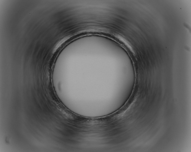 X0000092010829200709061307