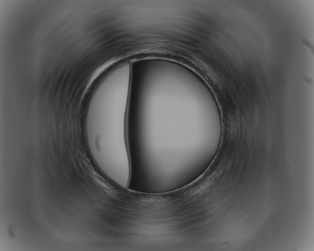 X0000092010830200709061307