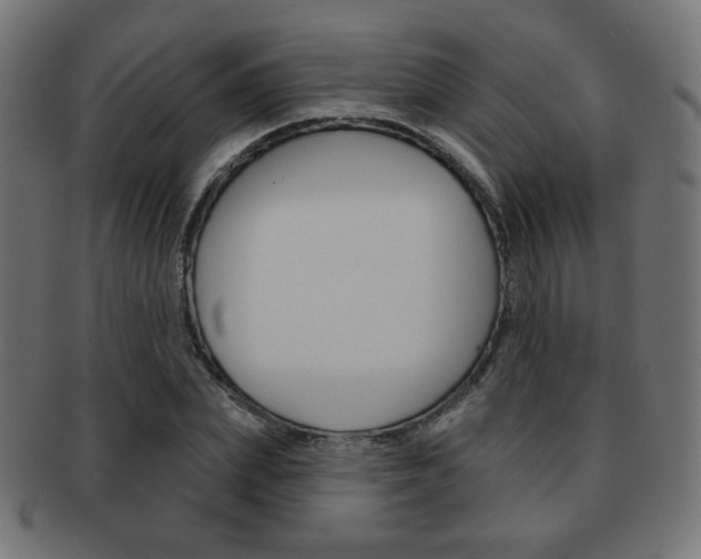 X0000092010831200709061307