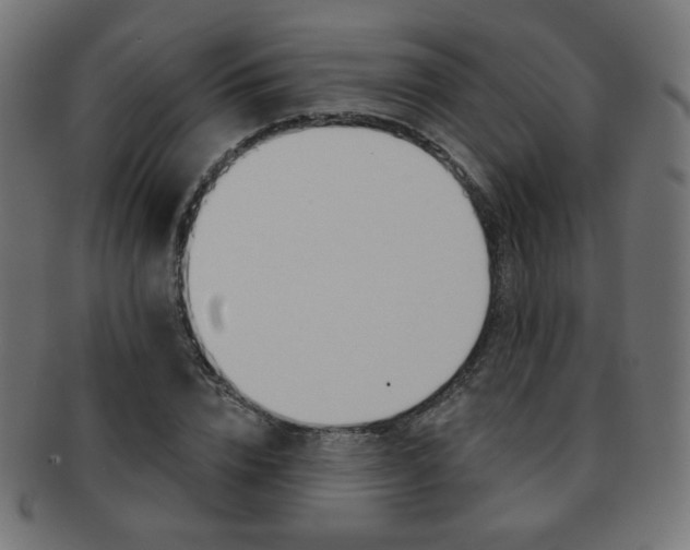 X0000092010832200709061307