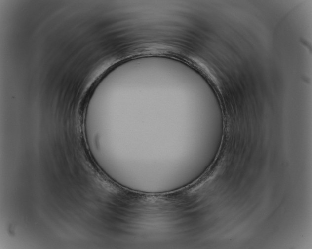 X0000092010835200709061307