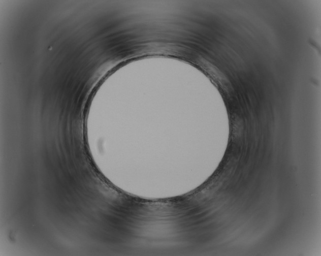 X0000092010836200709061307