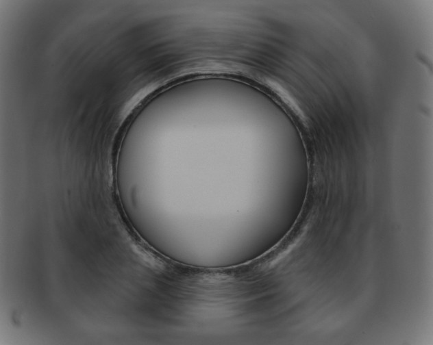 X0000092010837200709061307
