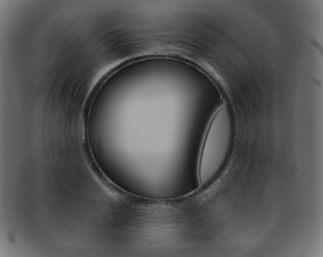 X0000092010838200709061307