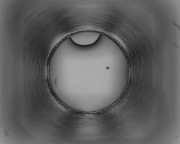 X0000092010839200709061307