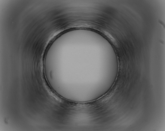 X0000092010840200709061307