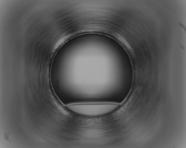 X0000092010842200709061307