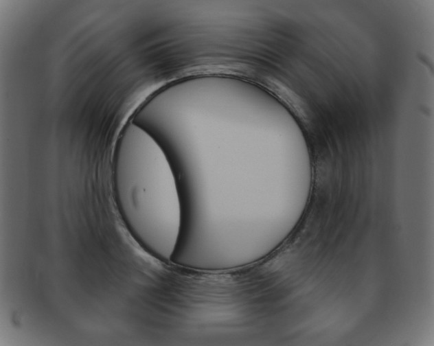 X0000092010844200709061307