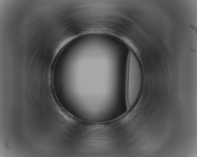X0000092010846200709061307