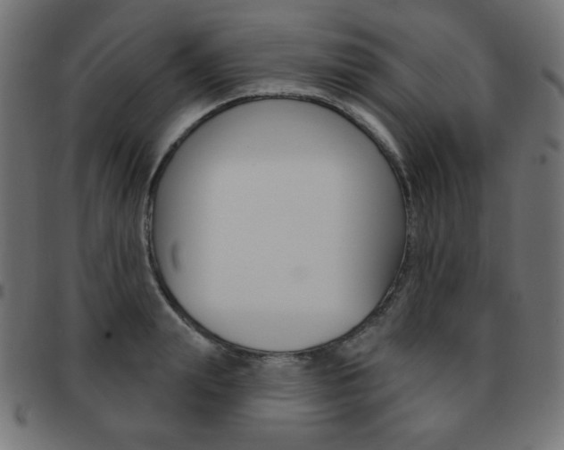 X0000092010847200709061307