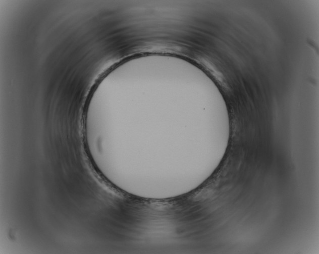 X0000092010848200709061307