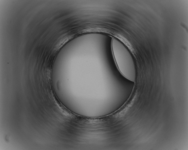X0000092010849200709061307