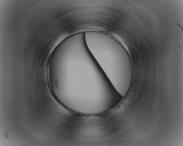 X0000092010851200709061307