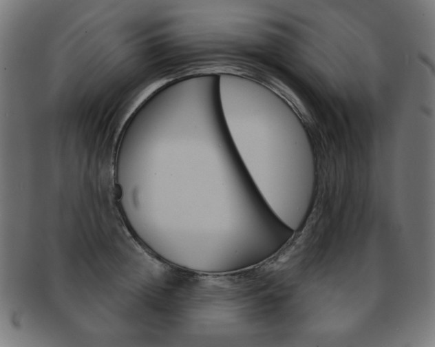 X0000092010852200709061307