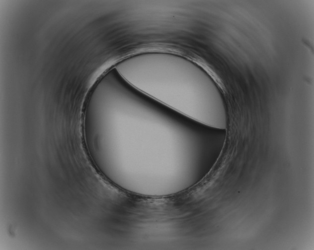 X0000092010853200709061307