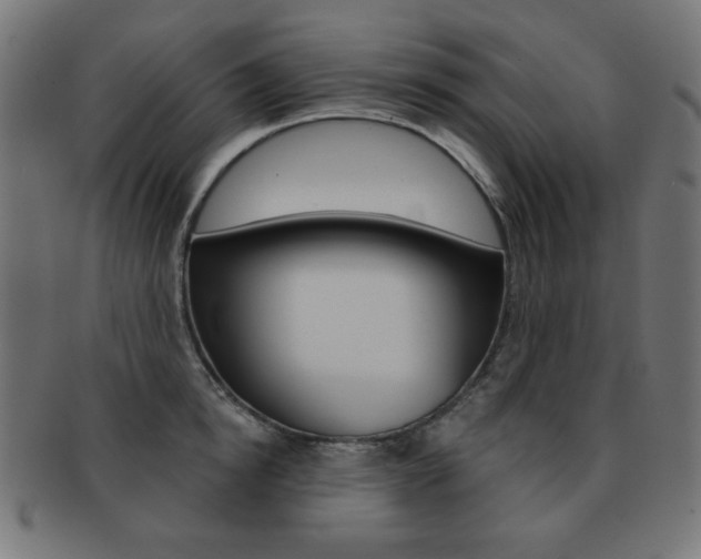 X0000092010854200709061307