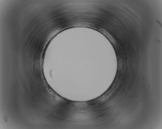 X0000092010856200709061308