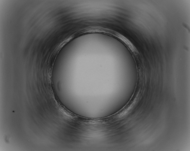 X0000092010857200709061308