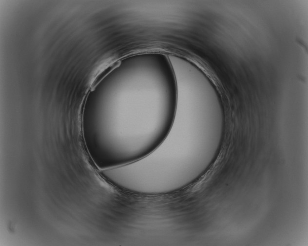 X0000092010858200709061308