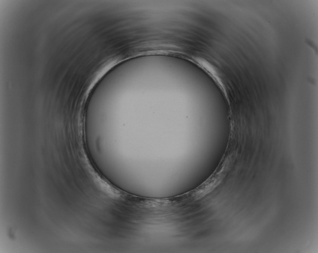 X0000092010859200709061308