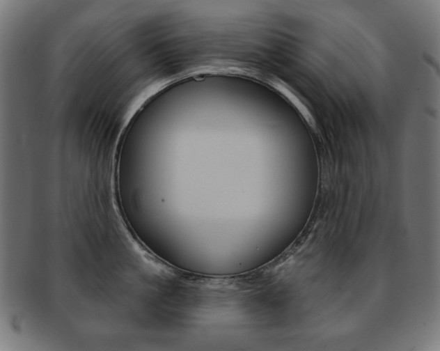 X0000092010861200709061308