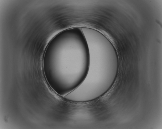 X0000092010862200709061308