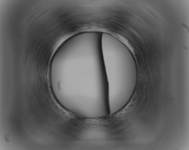 X0000092010863200709061308