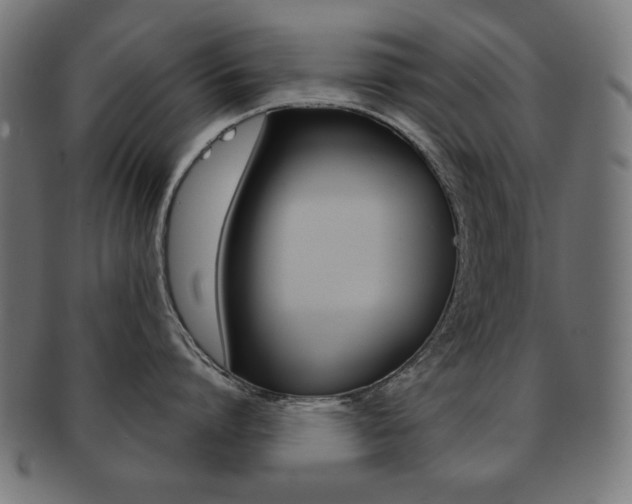 X0000092010864200709061308