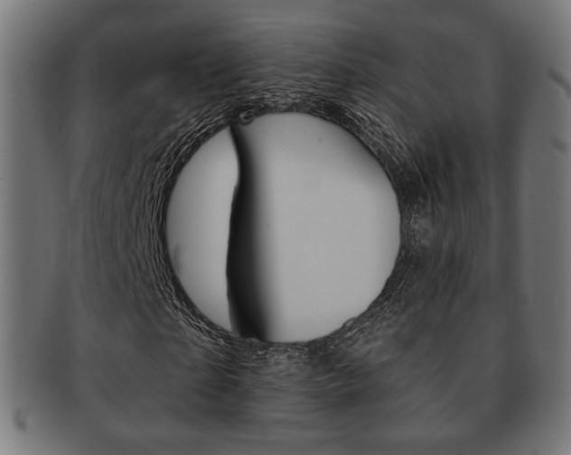 X0000092010865200709061307