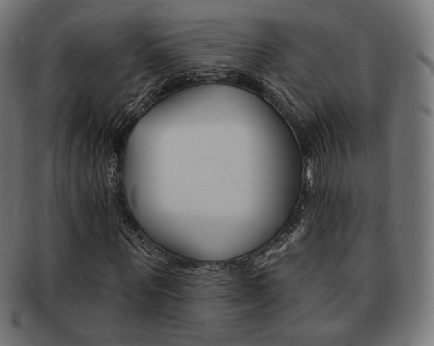 X0000092010867200709061307