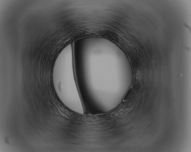 X0000092010868200709061307