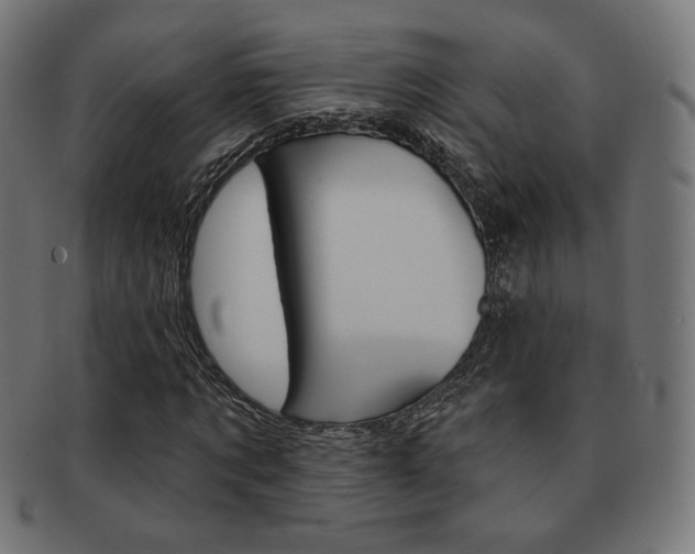 X0000092010869200709061307