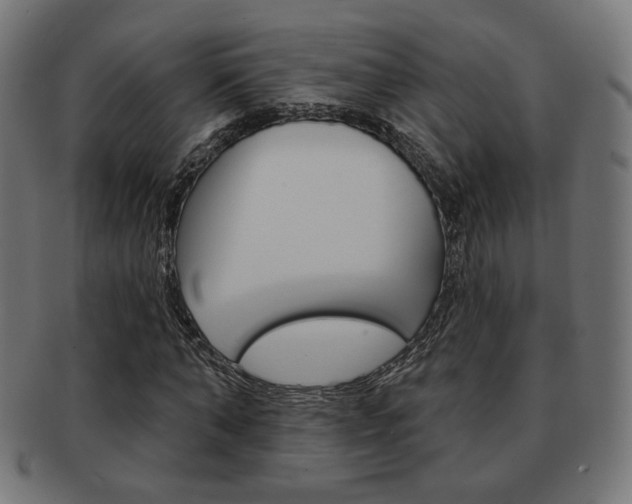 X0000092010870200709061307