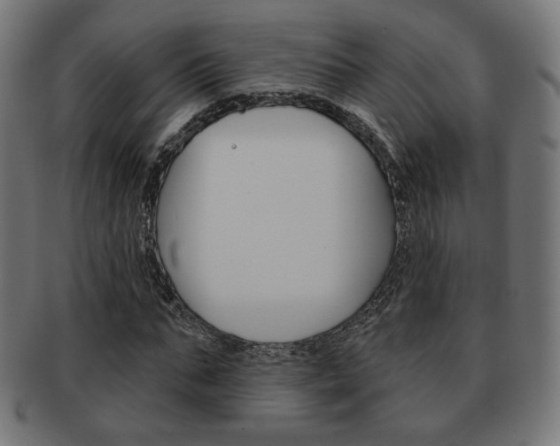 X0000092010871200709061307