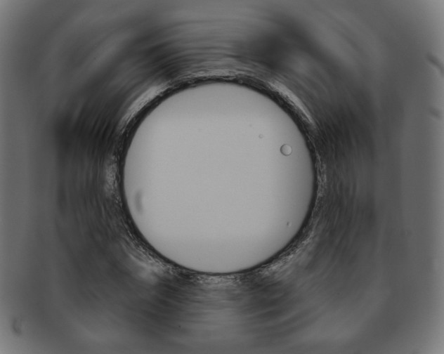 X0000092010874200709061307