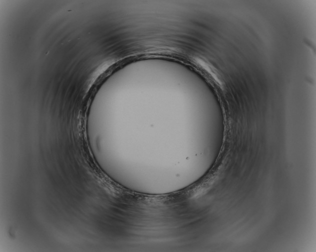 X0000092010875200709061307