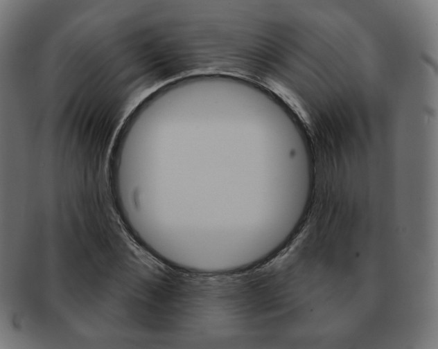 X0000092010876200709061307