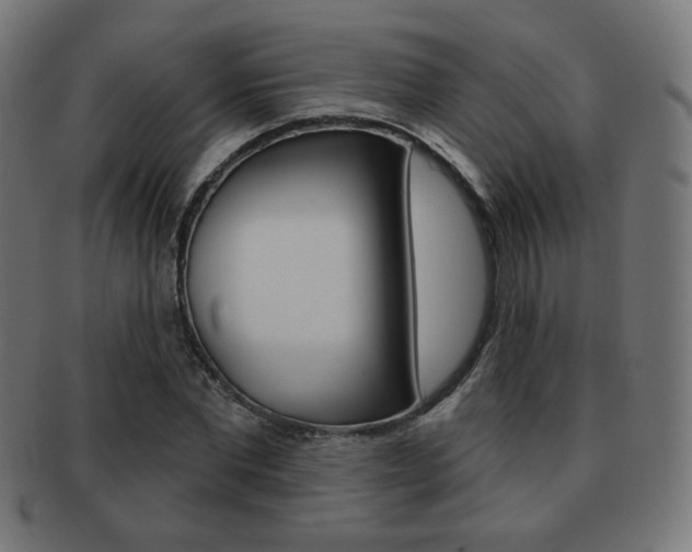 X0000092010877200709061307
