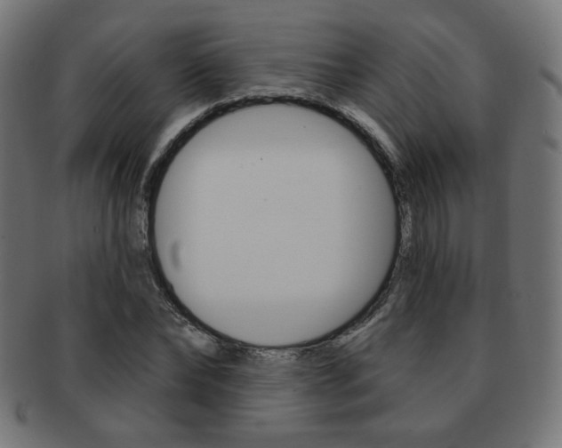 X0000092010878200709061307